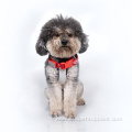 Adjustable Water USB Rechargeable Light LED Dog Collar